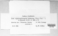 Gymnosporangium globosum image